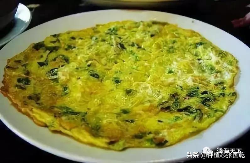 枸杞芽苗菜种植技术,室内枸杞芽苗菜的种植方法