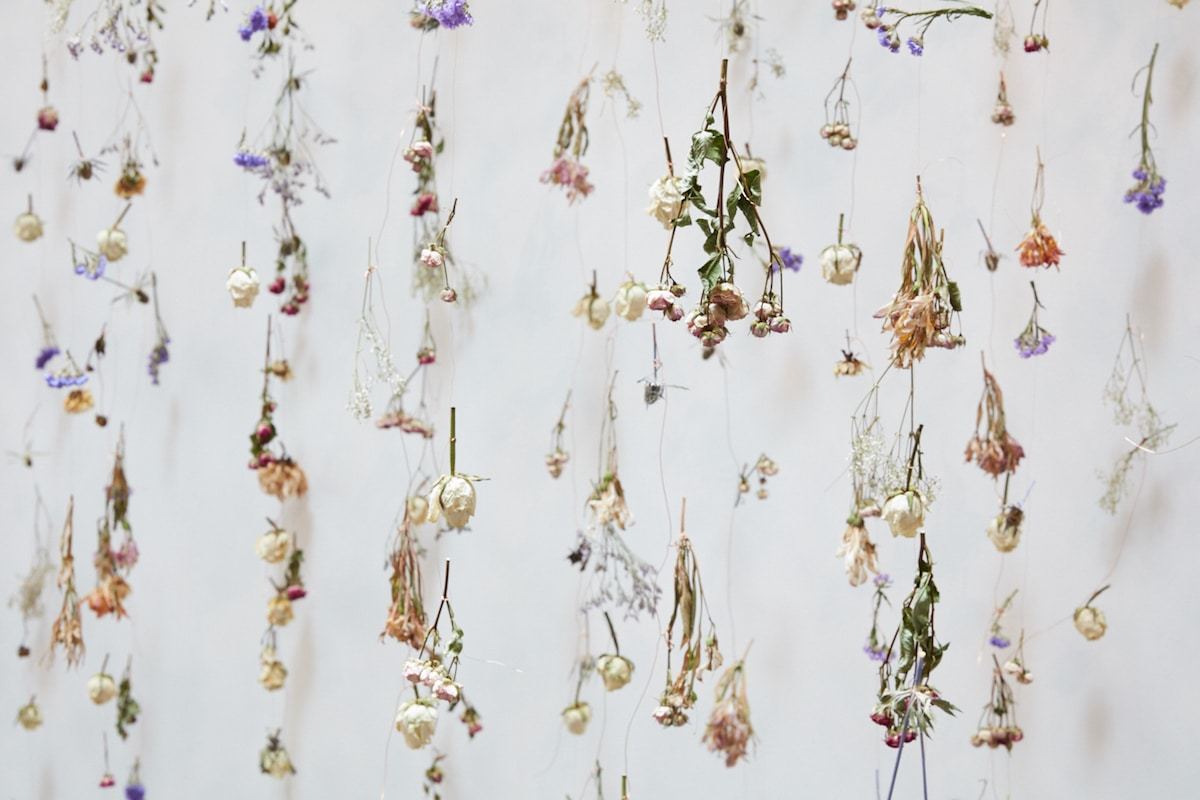 收藏春天的教程,怎么收藏春天