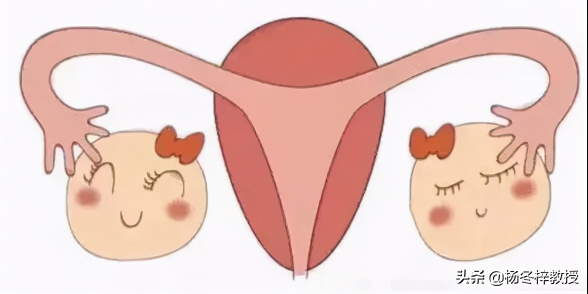 备孕好久不怀孕需要怎么调理,备孕一般建议多长时间做输卵管