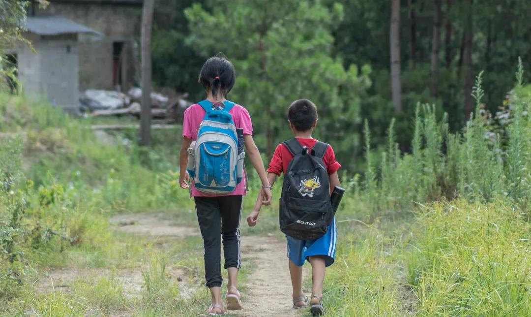 梦之队8.0|农业调研总结