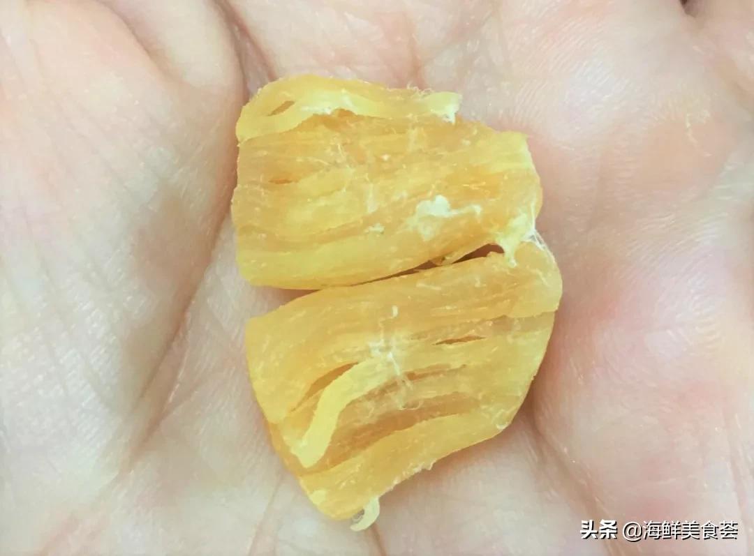 来到广东就得尝遍所有的海鲜美味,广东常见好吃的海鲜