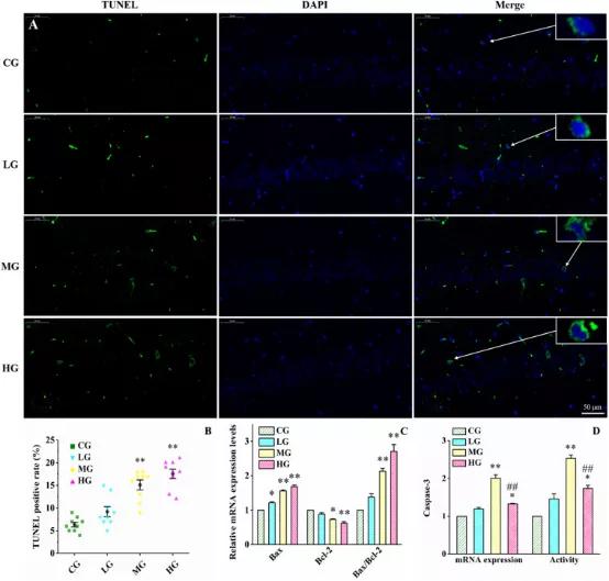 097期抑研报|抑郁症,用心理疗法还是药物疗法?