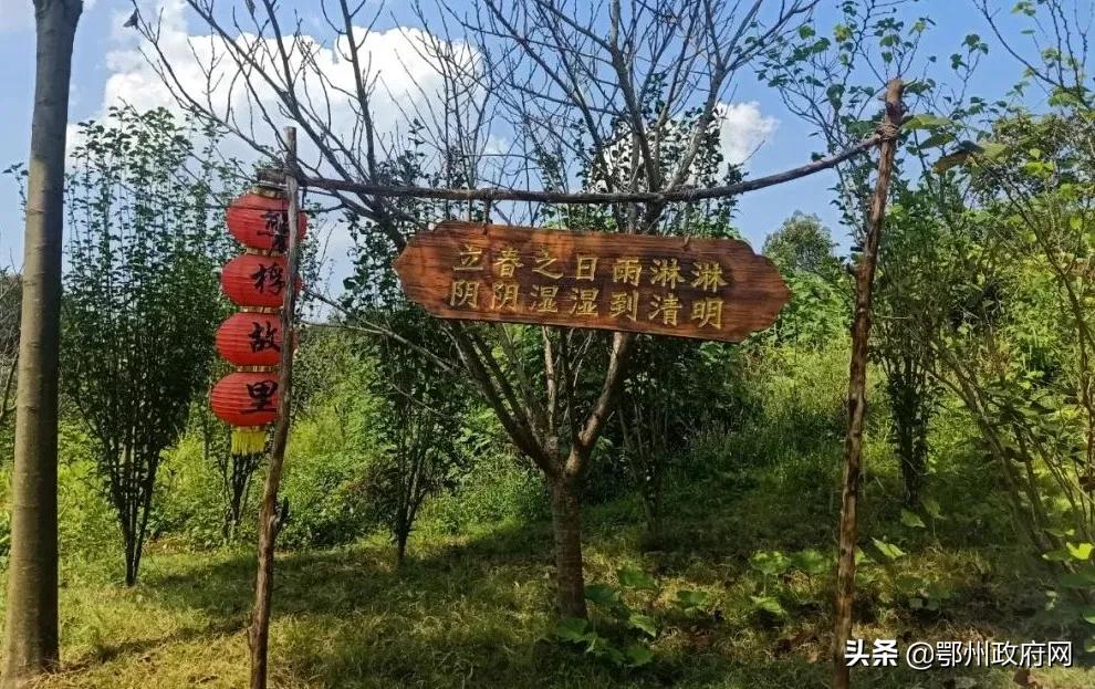 融媒小姐姐带你解锁“不一样的鄂州玩法”「世外桃源篇」