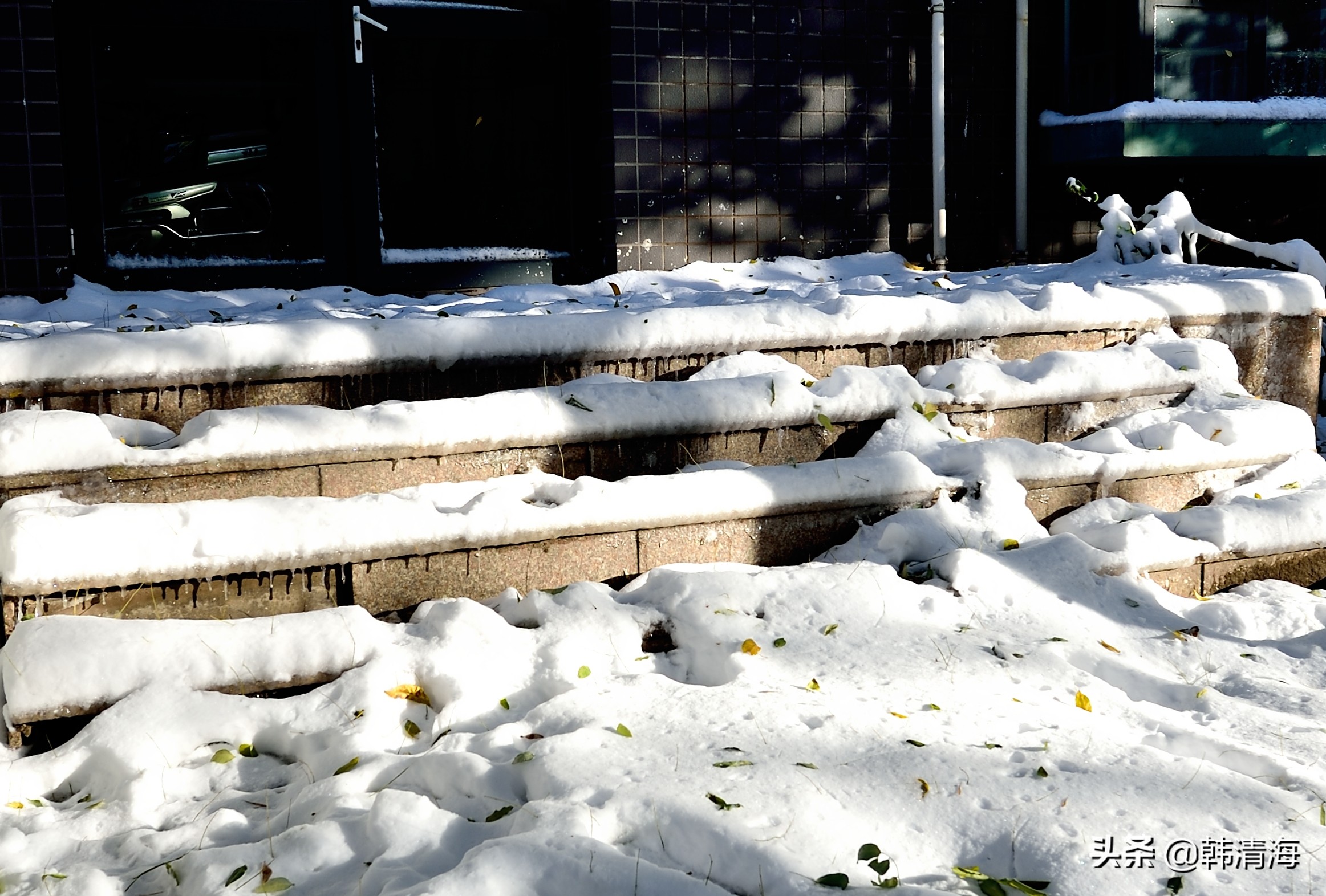天津2022年雪景,天津第一场雪的美景