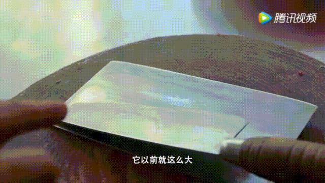 明星投毒吓人事件,深夜放毒招人恨的视频