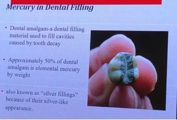 「避毒简讯」2019年07月-08月