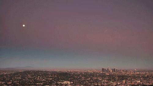 天津的老字号有哪些,天津卫五大家