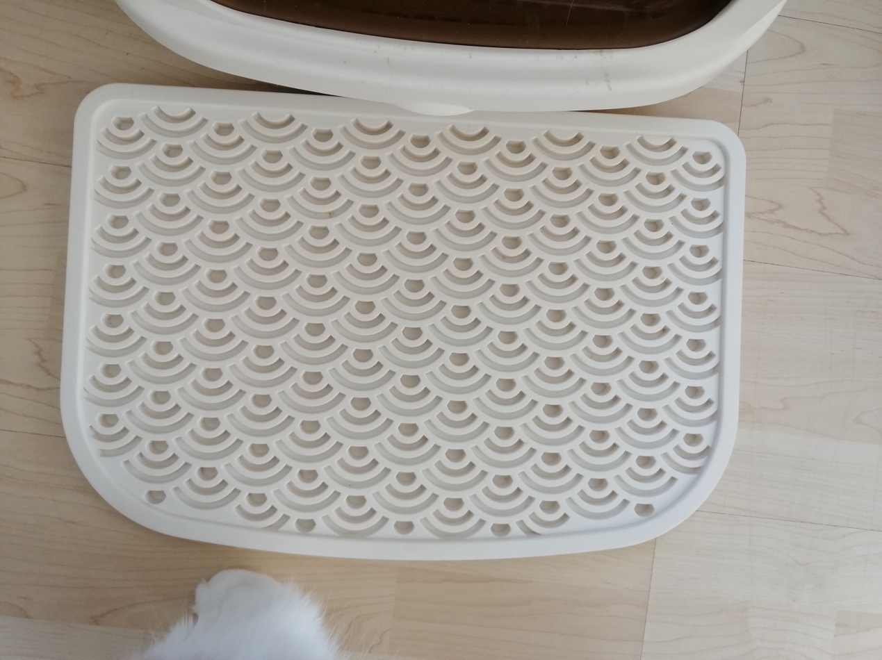 黑色猫配什么样的猫好看,猫选什么样的厕所