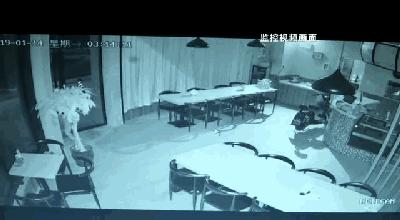 小偷在偷钱监控视频,监控上看不到小偷偷钱是怎么回事