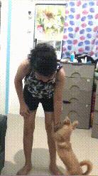 主人发现狗狗不见返回找它,主人假装看不见小狗名字