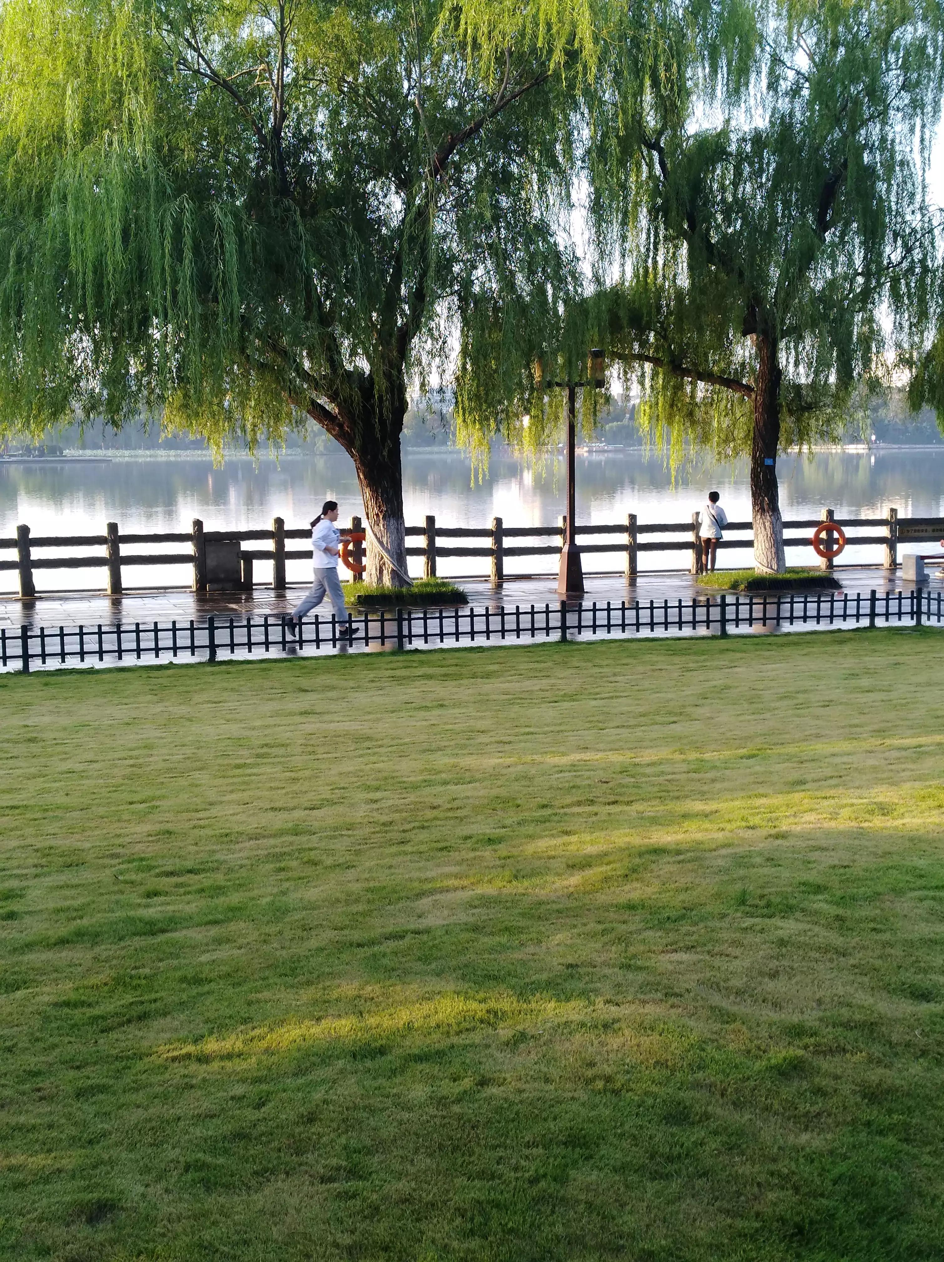 多彩的秋天绘本故事,多彩的秋天绘画