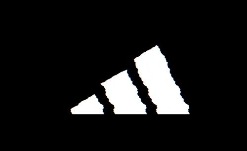 阿迪户外防水鞋推荐,阿迪达斯防水防滑鞋