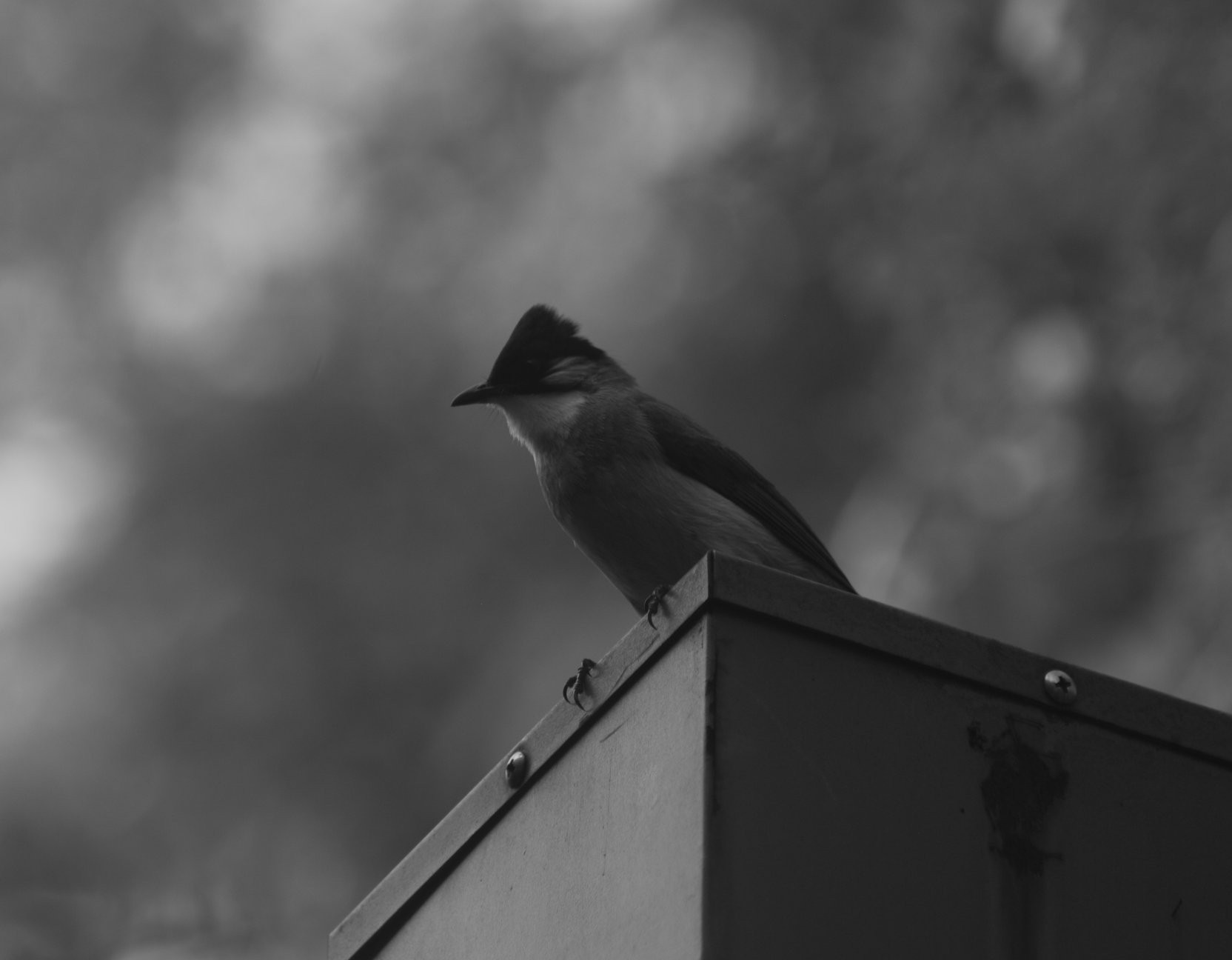 1000元二手全画幅单反相机推荐,2022最建议买的二手单反相机