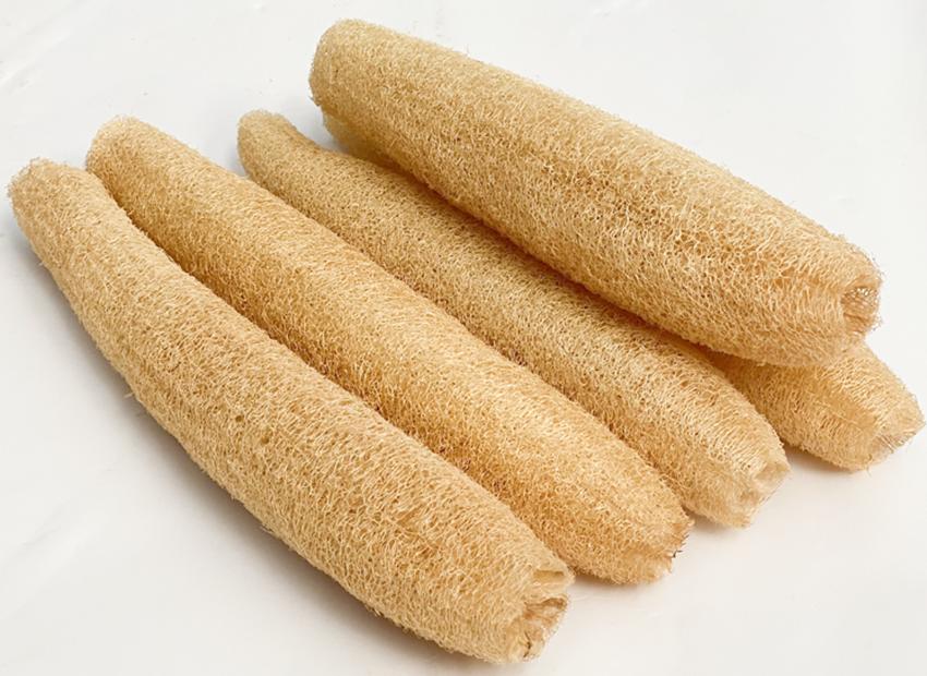 隔壁大爷种植丝瓜专卖老瓜，别人论斤卖他论个，有多少卖多少