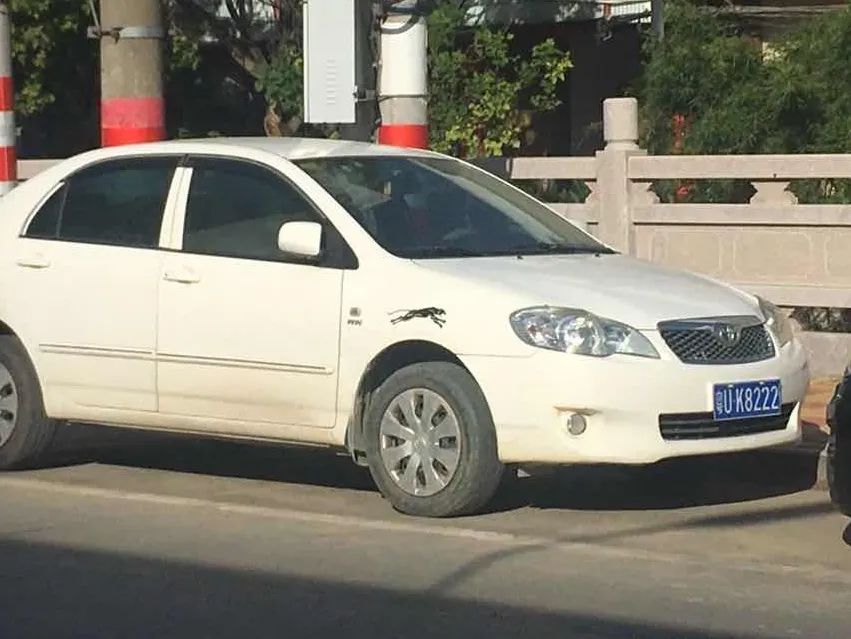 逆向停车名单及图片,曝光违法停车名单