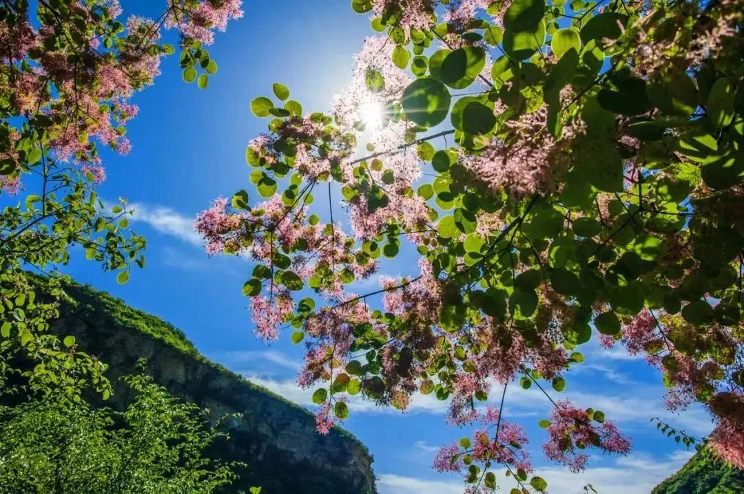 安全出行宝典,北京安全出游好去处