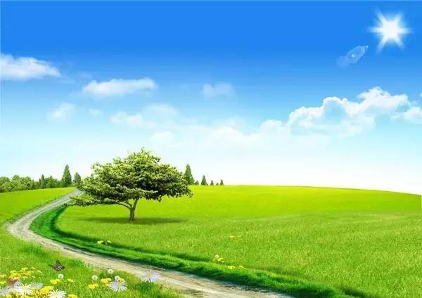 伊利蒙牛之战,新希望和君乐宝哪个纯牛奶好