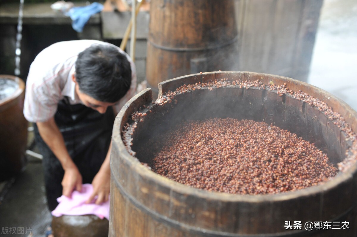 东北农村做酒的师傅非常吃香，月收入2万以上，为什么这样赚钱？