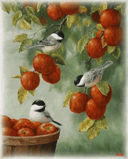 我的家庭相册视频教程,我的家庭相册细节