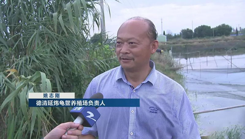 姚志刚养甲鱼,养甲鱼发家年赚一千万