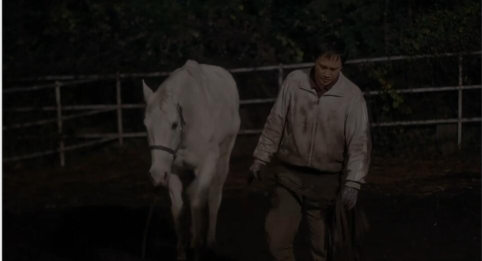 一人一马攀登高峰望故乡完整版,一人一马励志电影