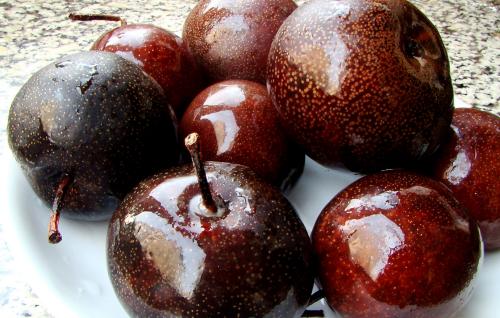 去过哈尔滨的感觉,去哈尔滨旅游有什么特色好吃的