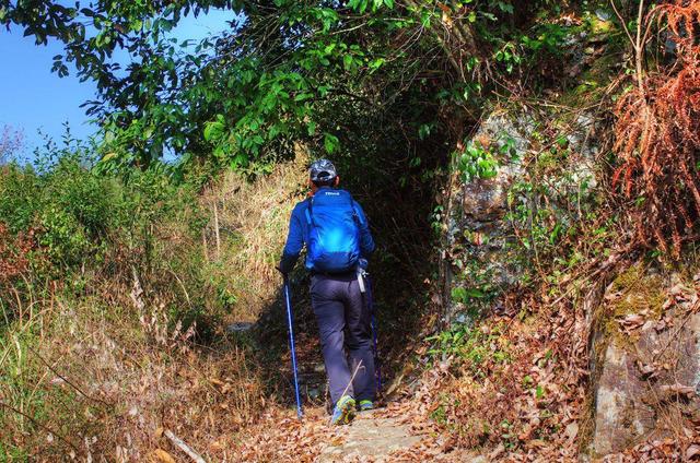 拓乐车顶行李框测评,车顶自行车架拓乐