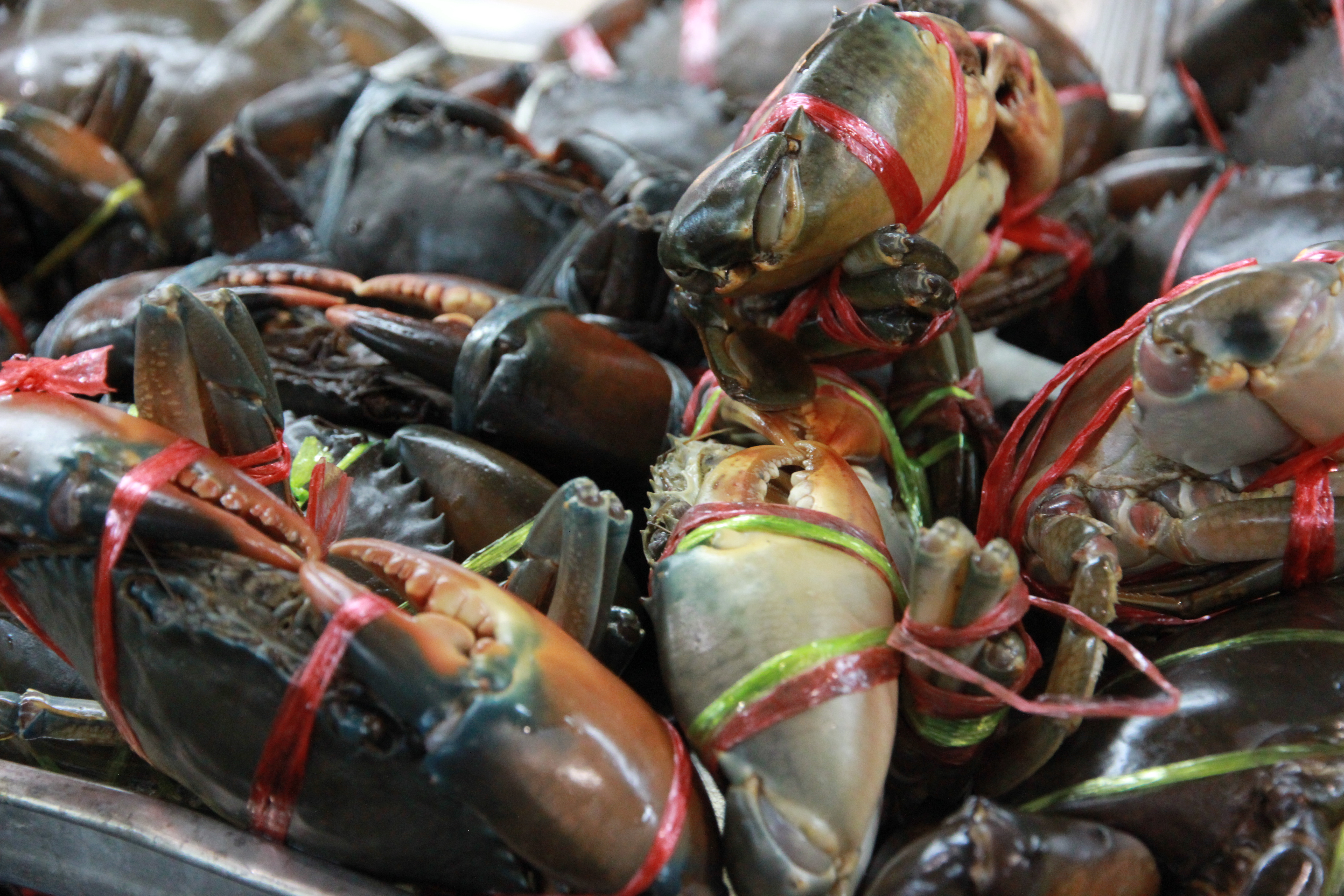 泰国普吉岛旅游攻略小视频,泰国普吉岛自由行旅游最新攻略