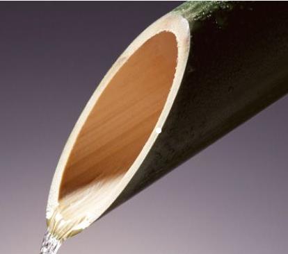 炎炎夏日,翠竹的眼泪“鲜竹沥液”,能当饮料喝吗