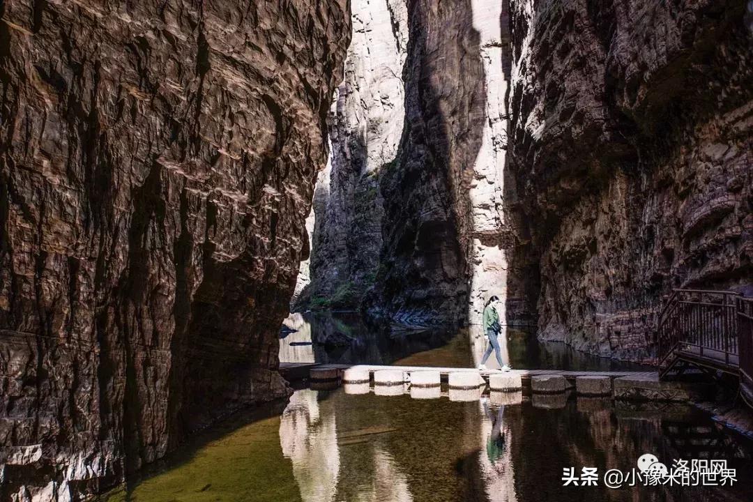 向洛阳人发出邀请国潮盛宴来袭,洛阳发布通知