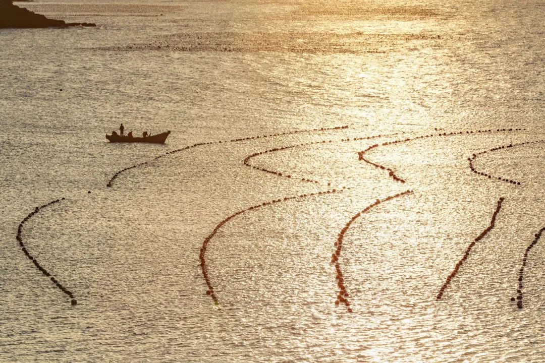 美过三亚!比厦门浪漫!中国这座海滨老城,去一次相当于环游世界