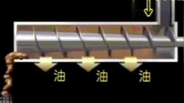 菜籽油是怎么榨出来的,菜籽榨出来怎么是绿色