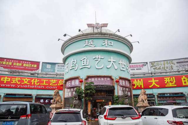 再见了，芳村，再见了，芳村的回忆