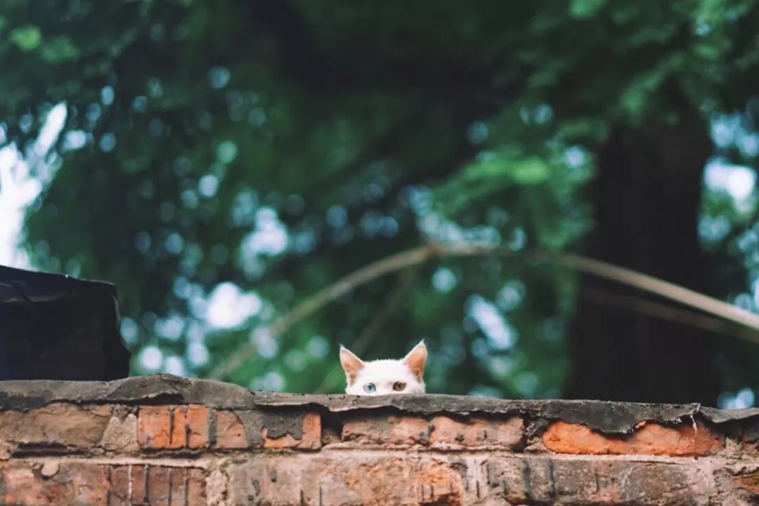 托斯卡纳夏日游,托斯卡纳风格打卡地