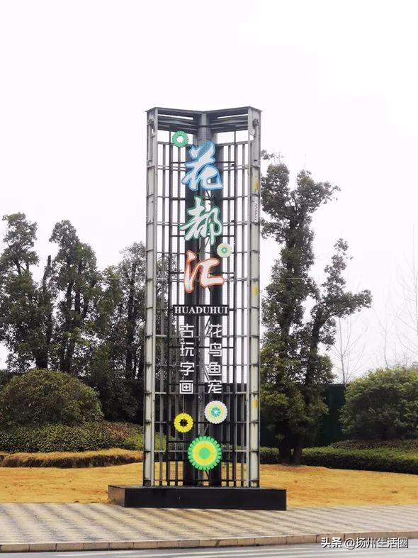 2元花盆批发,2元左右的花盆