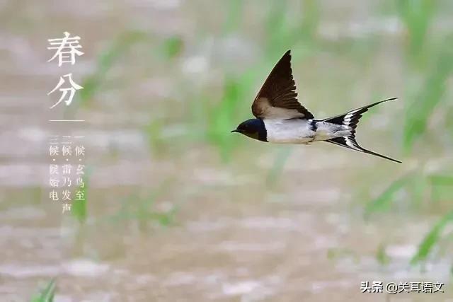 二十四节气春分歌词,二十四节气春分