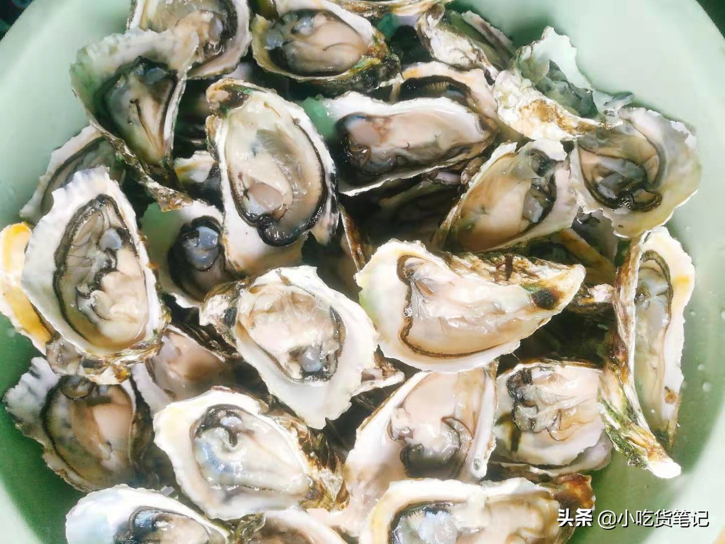 淘宝烤生蚝,生蚝1元1个店