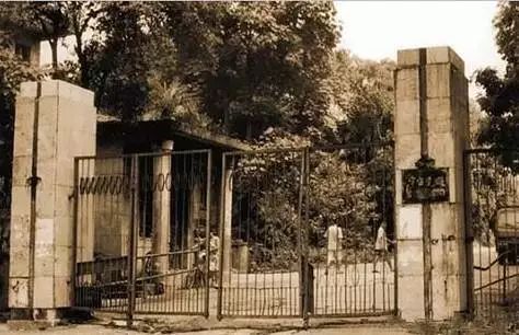 景德镇十年前陶瓷厂照片,解放初期景德镇十大瓷厂