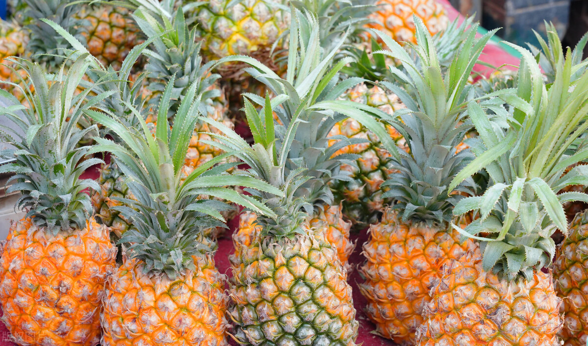 吃菠萝前要用盐水泡吗,吃菠萝之前要怎么用盐水泡