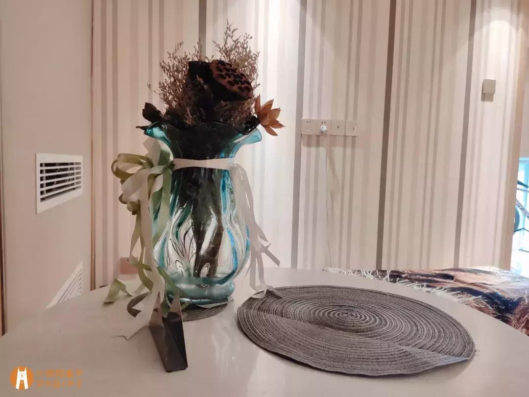 马克深圳最秀狗咖