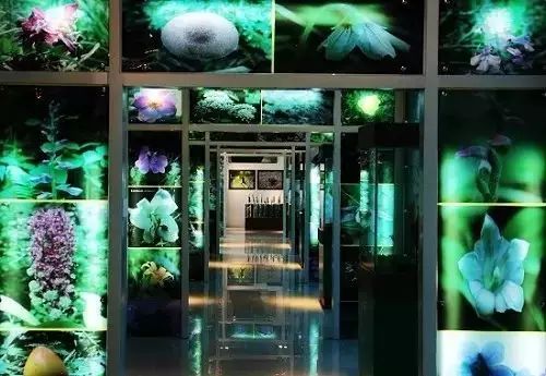 汉中周边旅游景点推荐自驾游,汉中新年到西安旅游全攻略