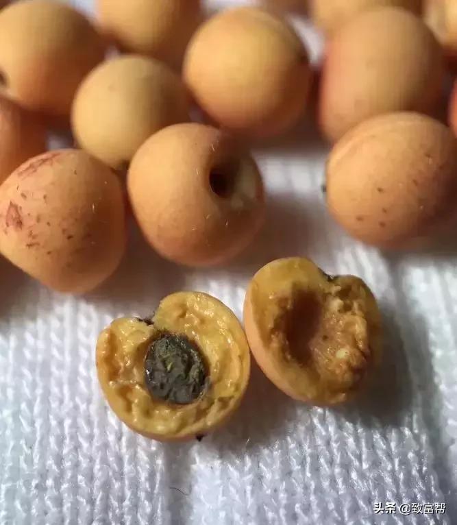 90后母亲被骗,90后妈妈因造假走红