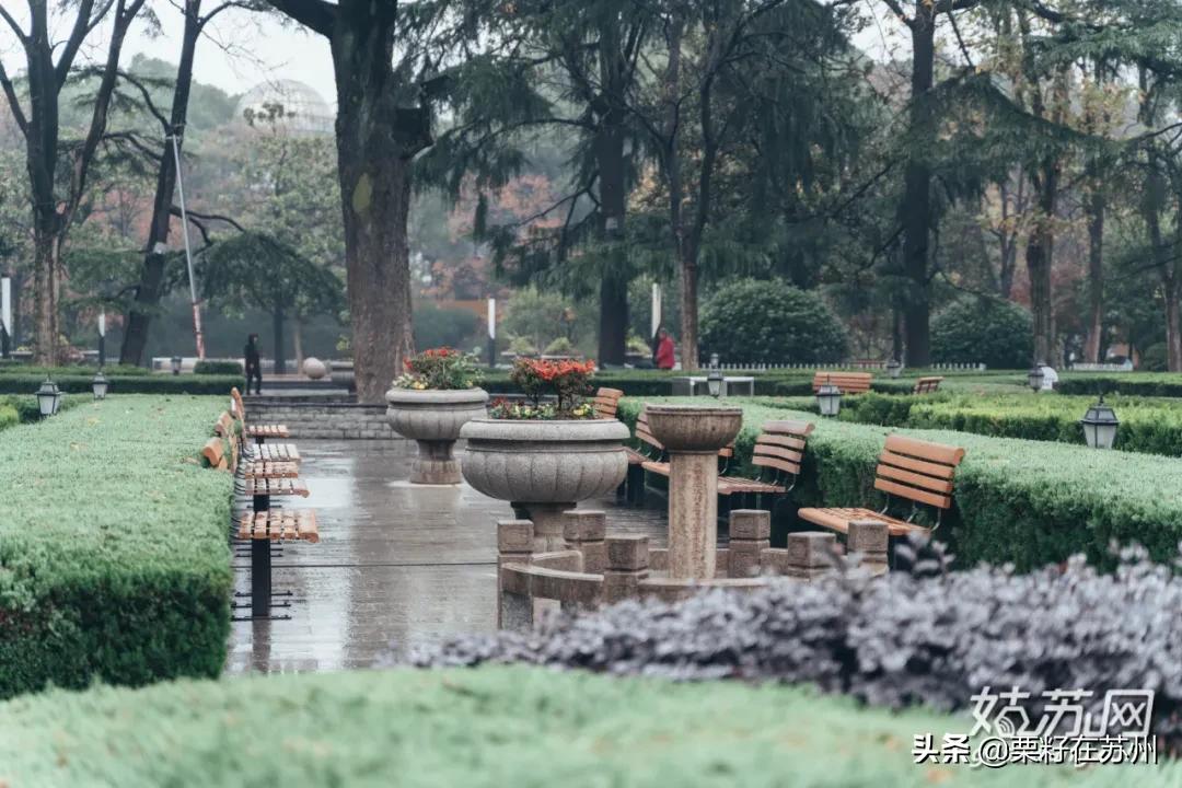 苏州古城区步行道,苏州古城步行线路石路
