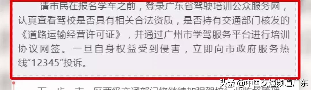 猪兼强驾校处理结果,猪兼强驾校最新消息