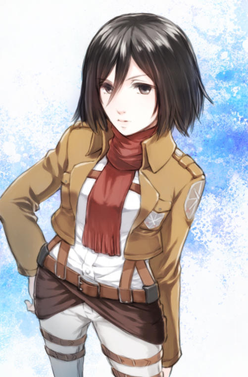 进击的巨人三笠和兵长有关系吗,进击的巨人三笠的真实身份