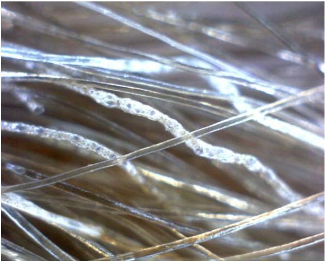 2000块钱的吹风机跟100的区别,2000元的吹风机