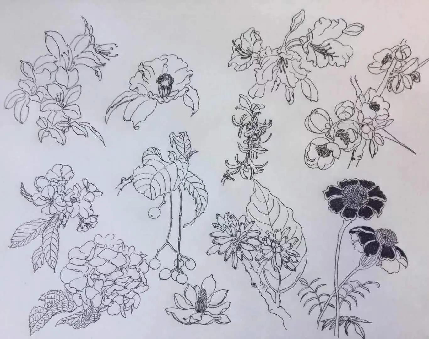 画吧画友作品欣赏,幸福原创画作品