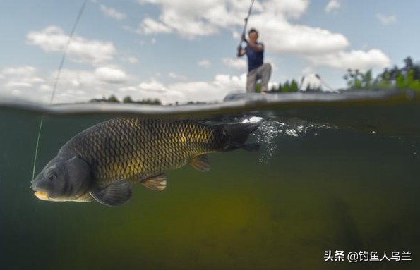 怎样选择一个好浮漂,怎样选择合适的浮漂