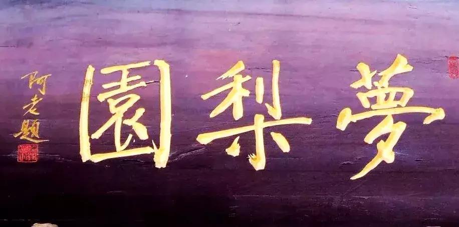 这才是中国的品牌,中国店铺招牌大全