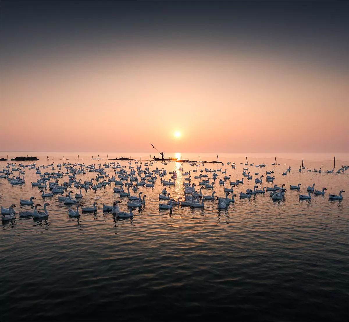 咸鸭蛋流油起沙的关键是什么,咸鸭蛋流油太咸了